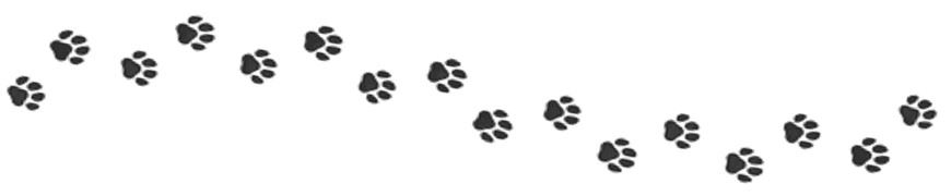 paw print trail